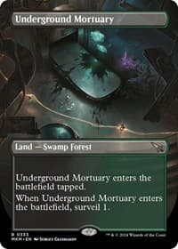 Underground Mortuary (Borderless) from Murders at Karlov Manor
