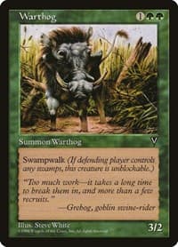Warthog from Visions