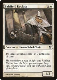 Saltfield Recluse from Modern Masters