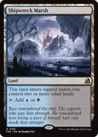 Shipwreck Marsh from Reality Fracture