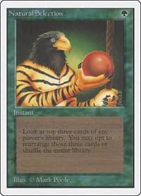 Natural Selection from Unlimited Edition